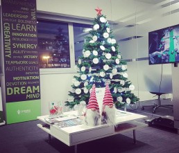 Pinhiero de Natal - Christmas Tree - Arbol de Navidad - IT People Innovation